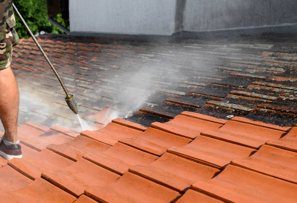 Best House Pressure Washing  in Brush Prairie, WA